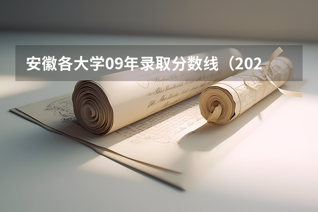 安徽各大学09年录取分数线（2023高考各院校的取分线）