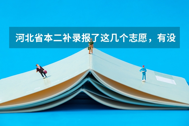 河北省本二补录报了这几个志愿，有没有可能录取呢？