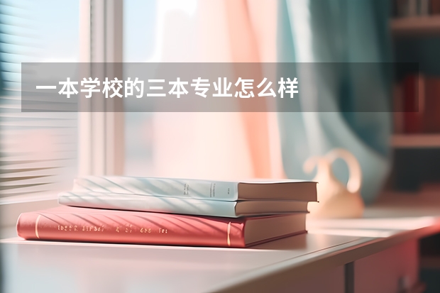 一本学校的三本专业怎么样