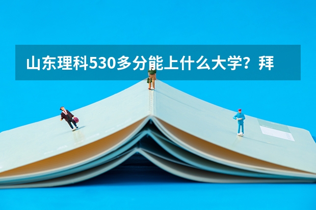 山东理科530多分能上什么大学？拜托各位了 3Q