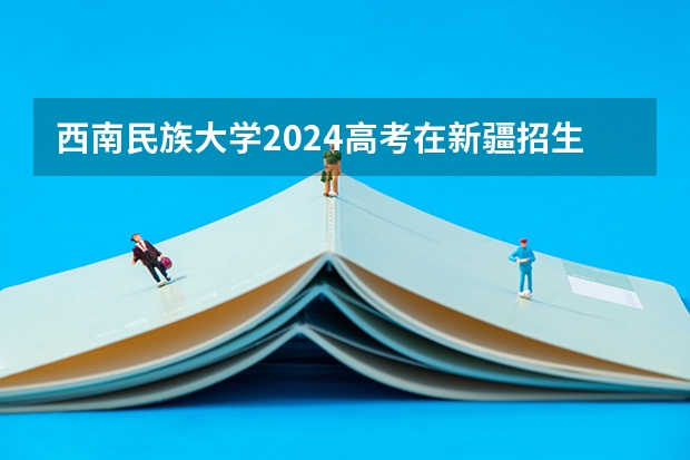 西南民族大学2024高考在新疆招生计划