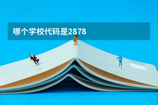 哪个学校代码是2878