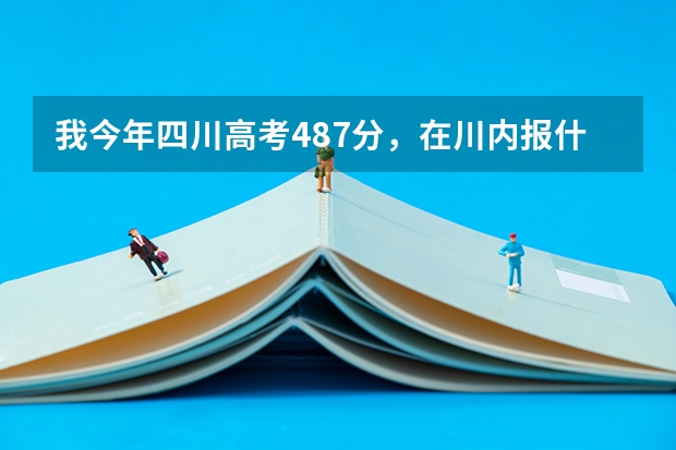 我今年四川高考487分，在川内报什么学校合适啊？